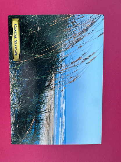 Vintage Coastal Seascape Postcard