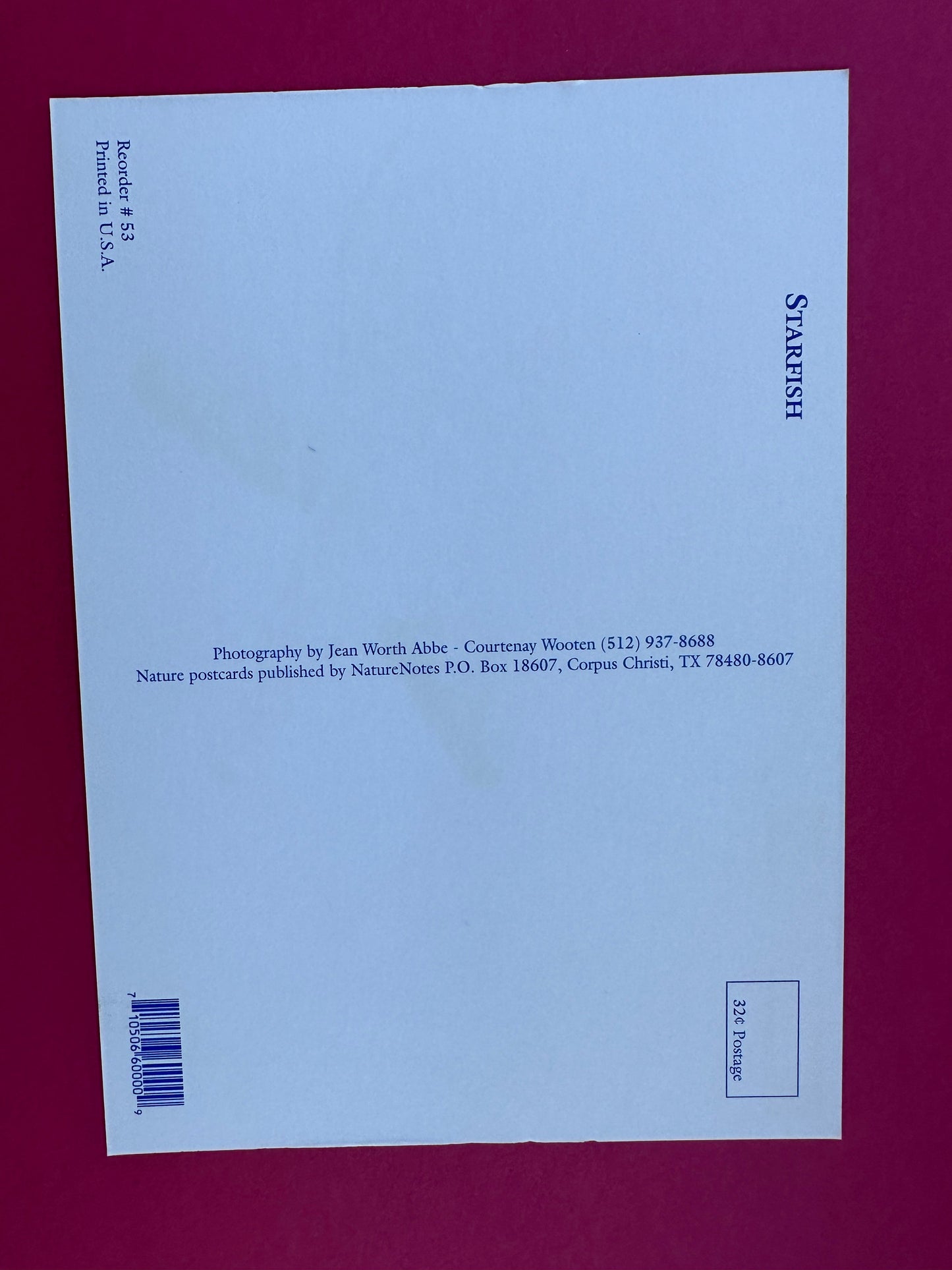 Vintage Starfish Postcard