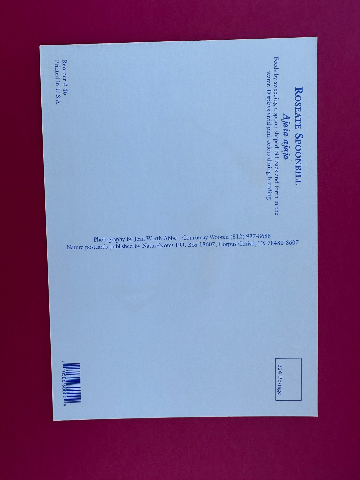 Vintage Roseate Spoonbill Postcard