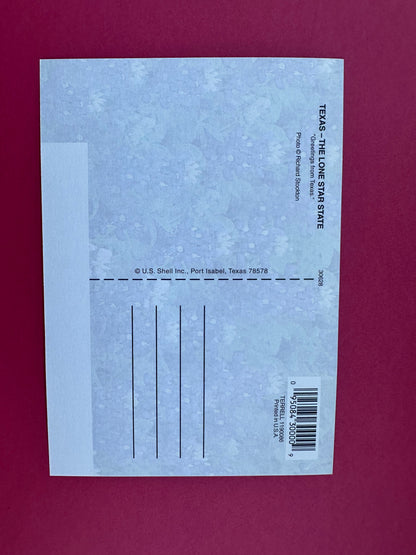 Vintage Texas Postcard