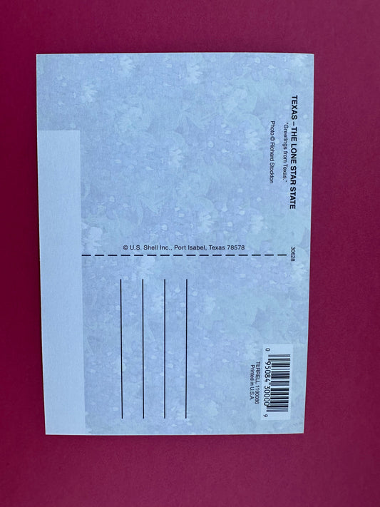 Vintage Texas Postcard