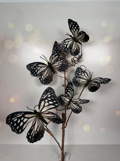 37" Butterfly Spray Black/White