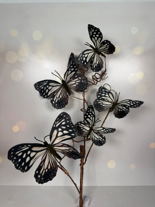37" Butterfly Spray Black/White
