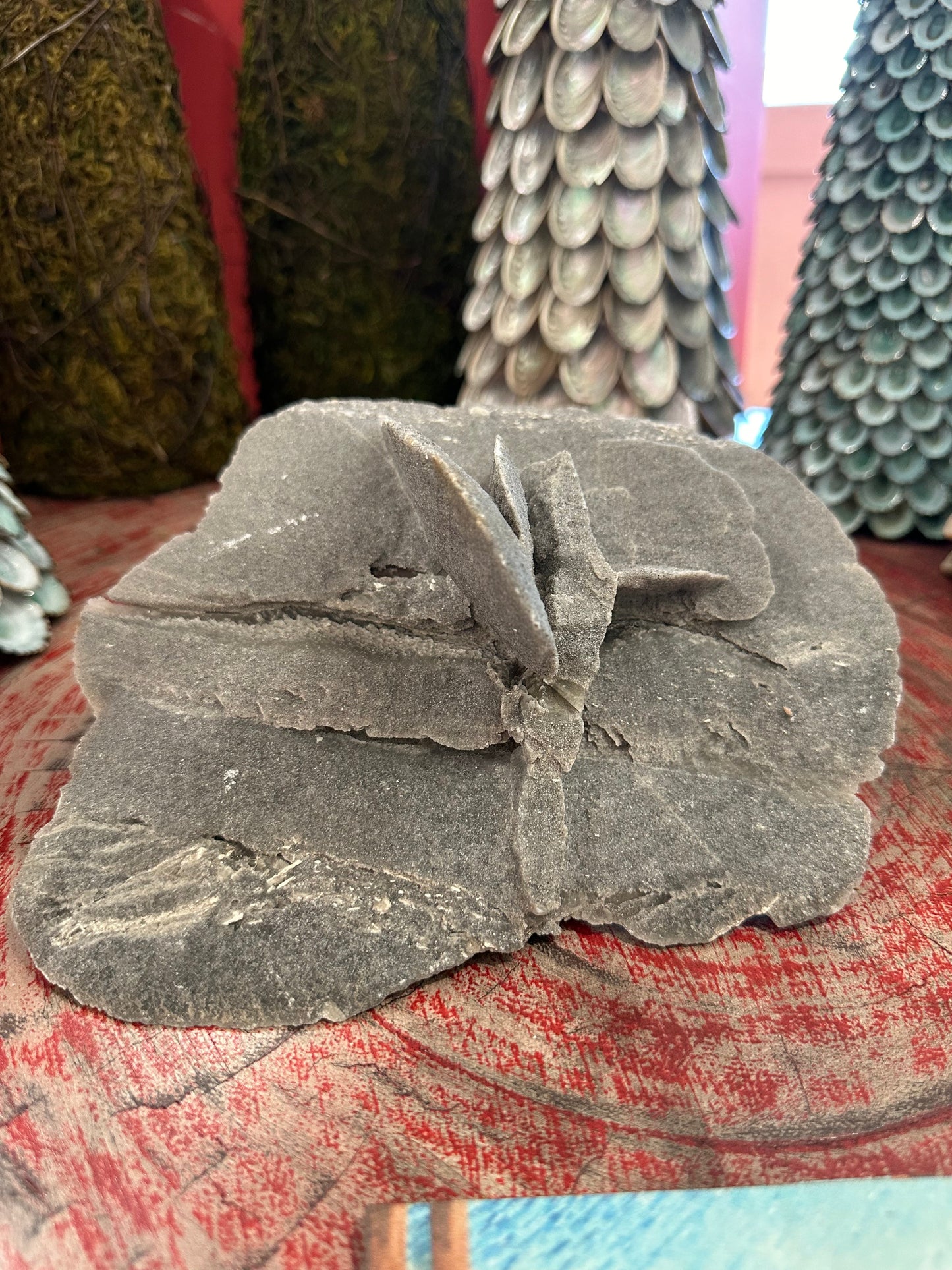 Elephant Ear Selenite Gypsum Quartz Mineral