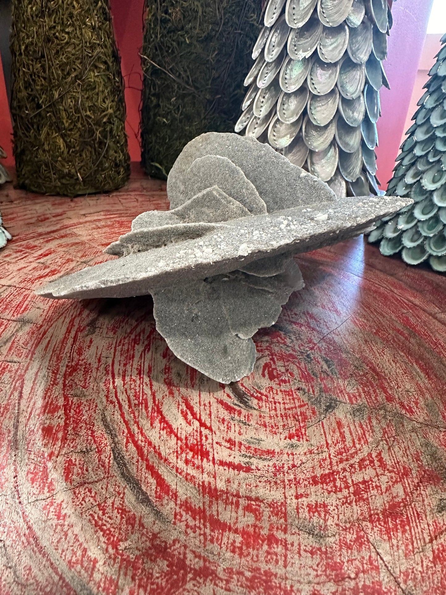 Elephant Ear Selenite Gypsum Quartz Mineral