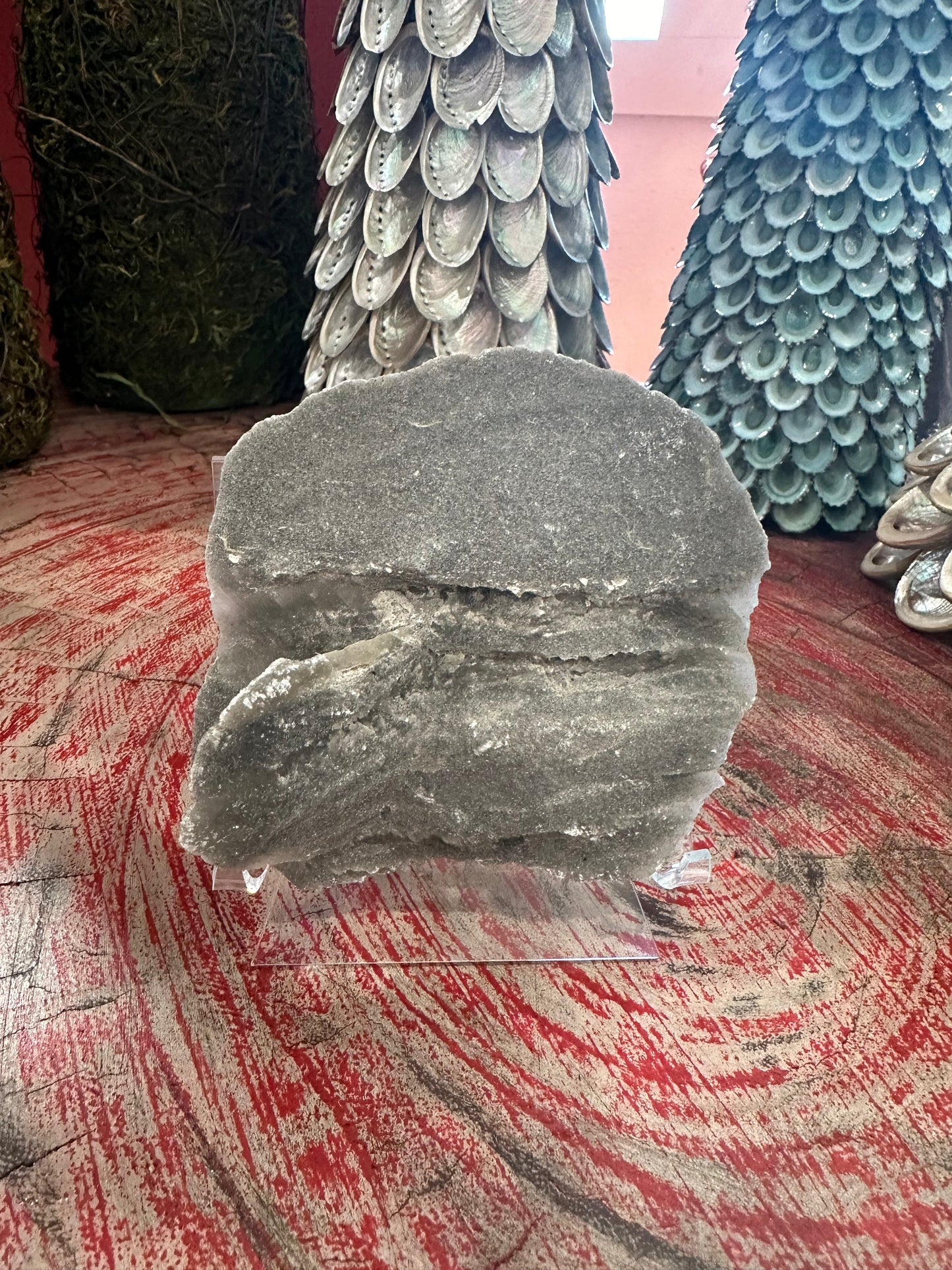 Elephant Ear Selenite Gypsum Quartz Mineral