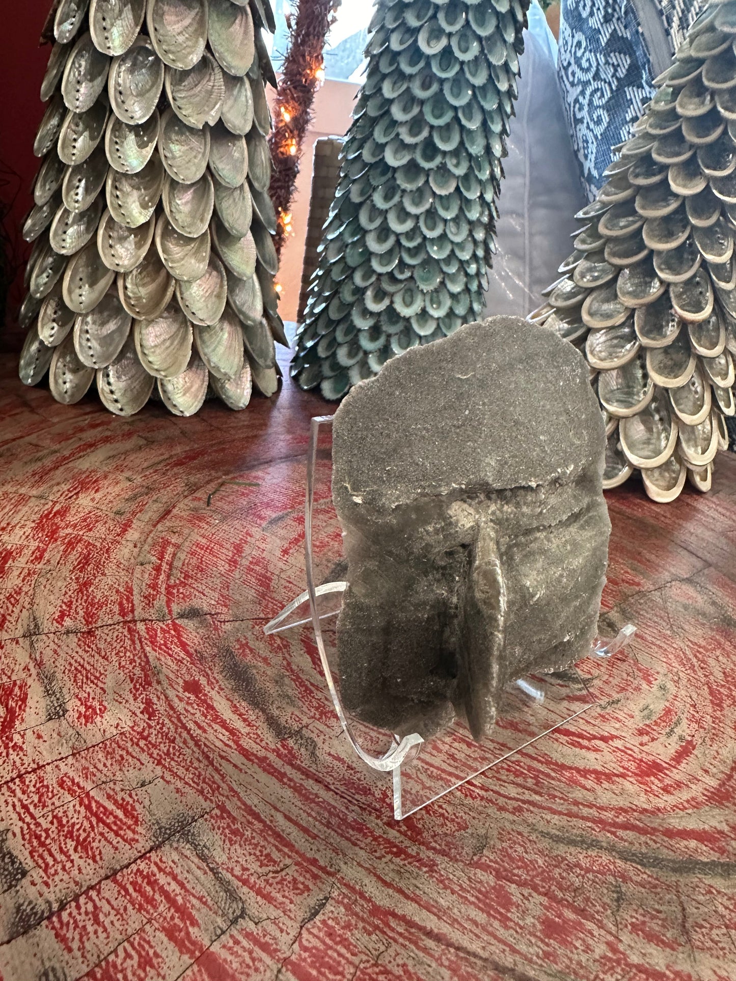 Elephant Ear Selenite Gypsum Quartz Mineral