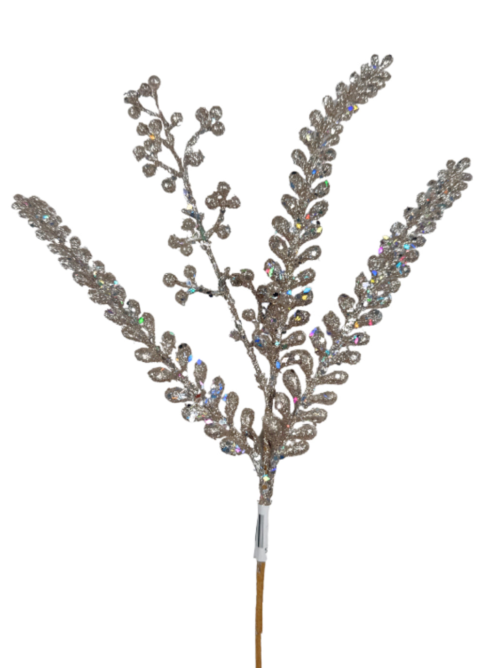 LAUREL FERN PICK CHAMPAGNE