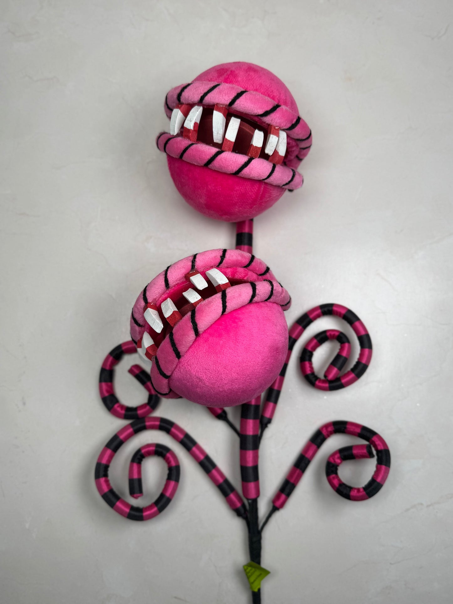 Carnivorous Plant  Pink