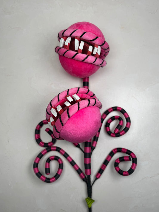 Carnivorous Plant  Pink