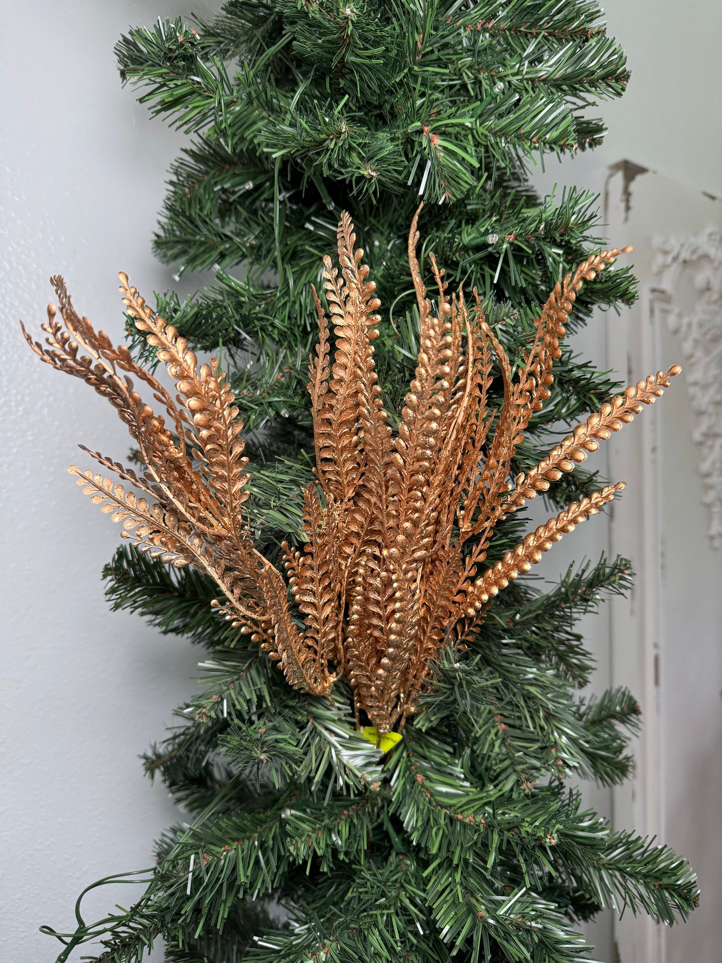 Gold Skinny Fern Bush