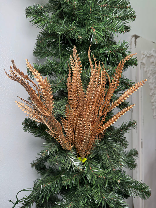 Gold Skinny Fern Bush