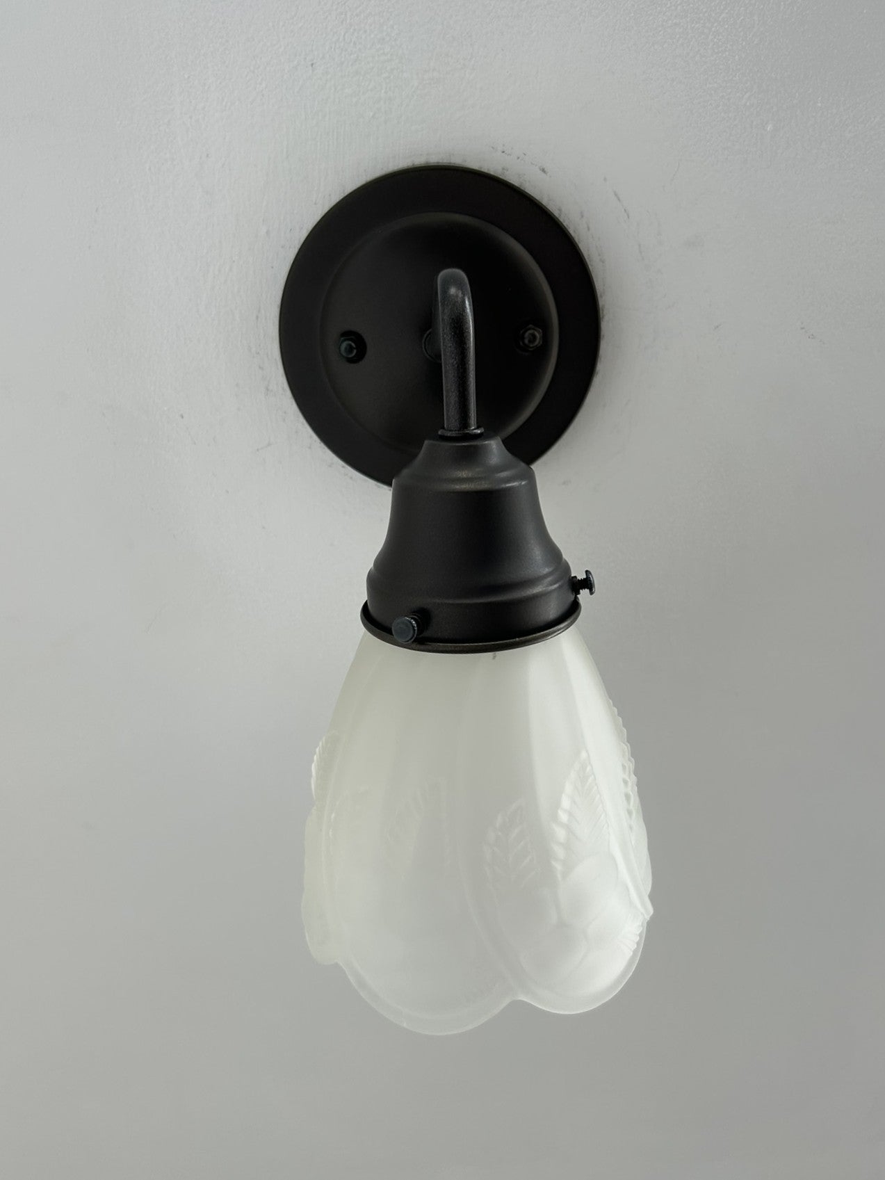 Frosted Embossed Fruit and Leaf Sconce or Pendant