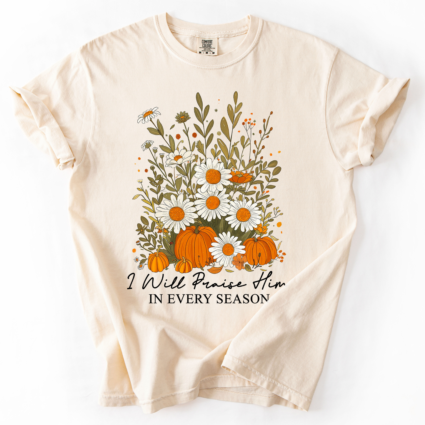 I Will Praise Him In Every Season, Psalm 34 1, Faith, Christian, Autumn, Pumpkin, Fall, Comfort Colors T-Shirt