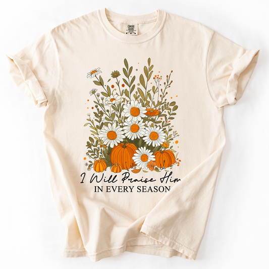 I Will Praise Him In Every Season, Psalm 34 1, Faith, Christian, Autumn, Pumpkin, Fall, Comfort Colors T-Shirt