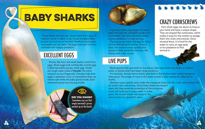 Discovery: Shark Spotter’s Guide, With Poster & Replica Teeth- Box Set