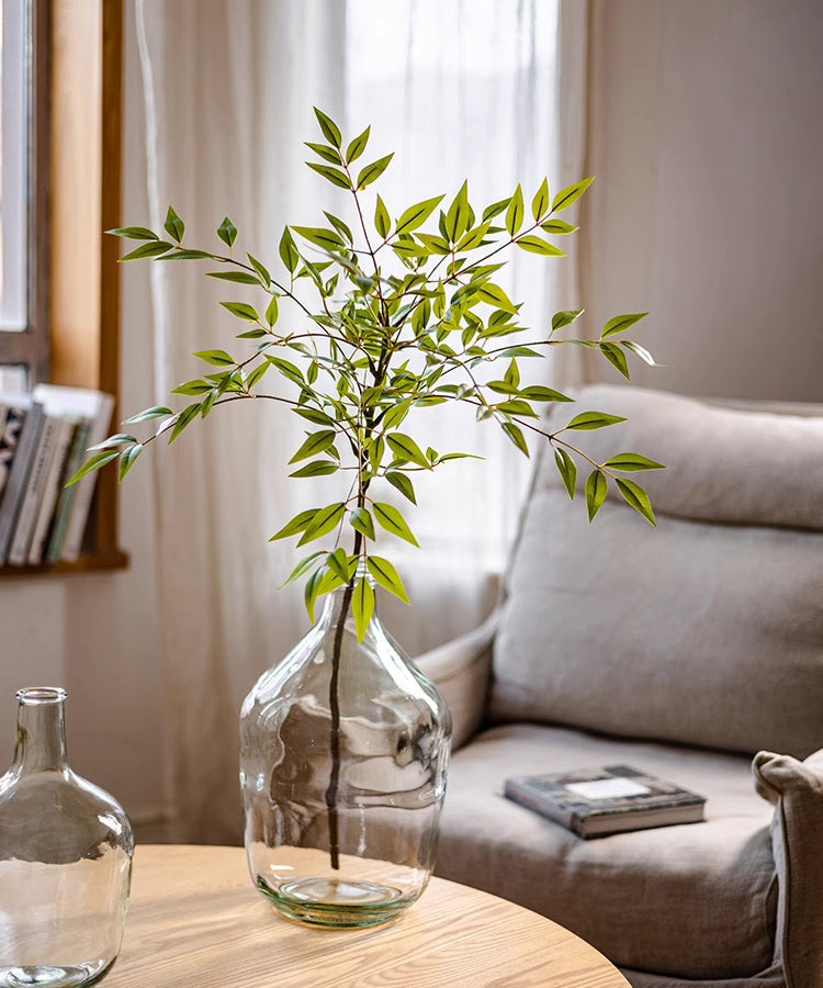 Clear glass vase with green plant on a wooden table in a living room setting.