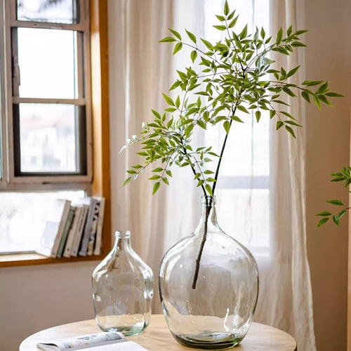 Clear glass vase with a plant on a table near a window with white curtains.