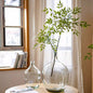 Clear glass vase with a plant on a table near a window with white curtains.