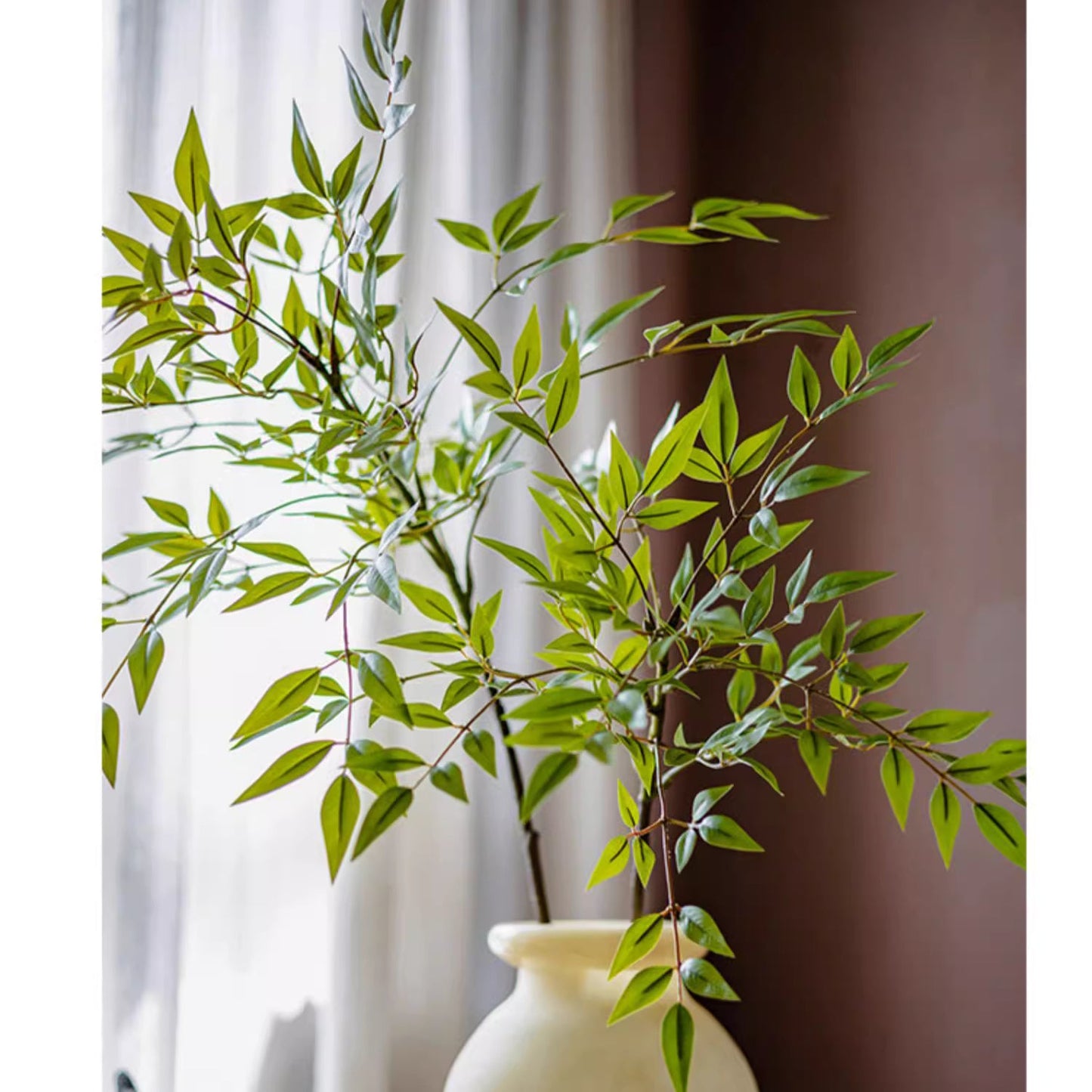 Green plant in a white vase against a neutral background