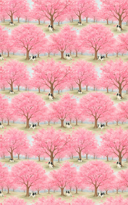 Japanese Chin