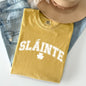 Slainte, Gaelic, Health, Luck, Collegiate, St Patrick's Day Comfort Colors Tshirt