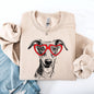Whippet, Pet, Dog Breed, Valentine's Sweatshirt