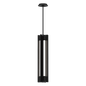Carson Narrow Pendant