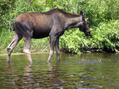 Katahdin Baxter State Park