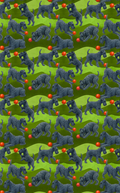 Garden Kerry Blue Terrier
