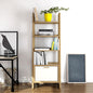 Kathy Ladder Shelf