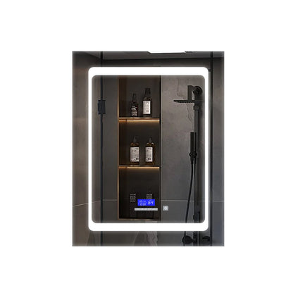 Bracciano 20 in. W x 32 in. H Surface-Mount LED Mirror Medicine Cabinet with Defogger