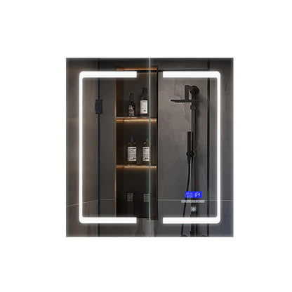 Bracciano 24 in. W x 28 in. H Surface-Mount LED Mirror Medicine Cabinet with Defogger
