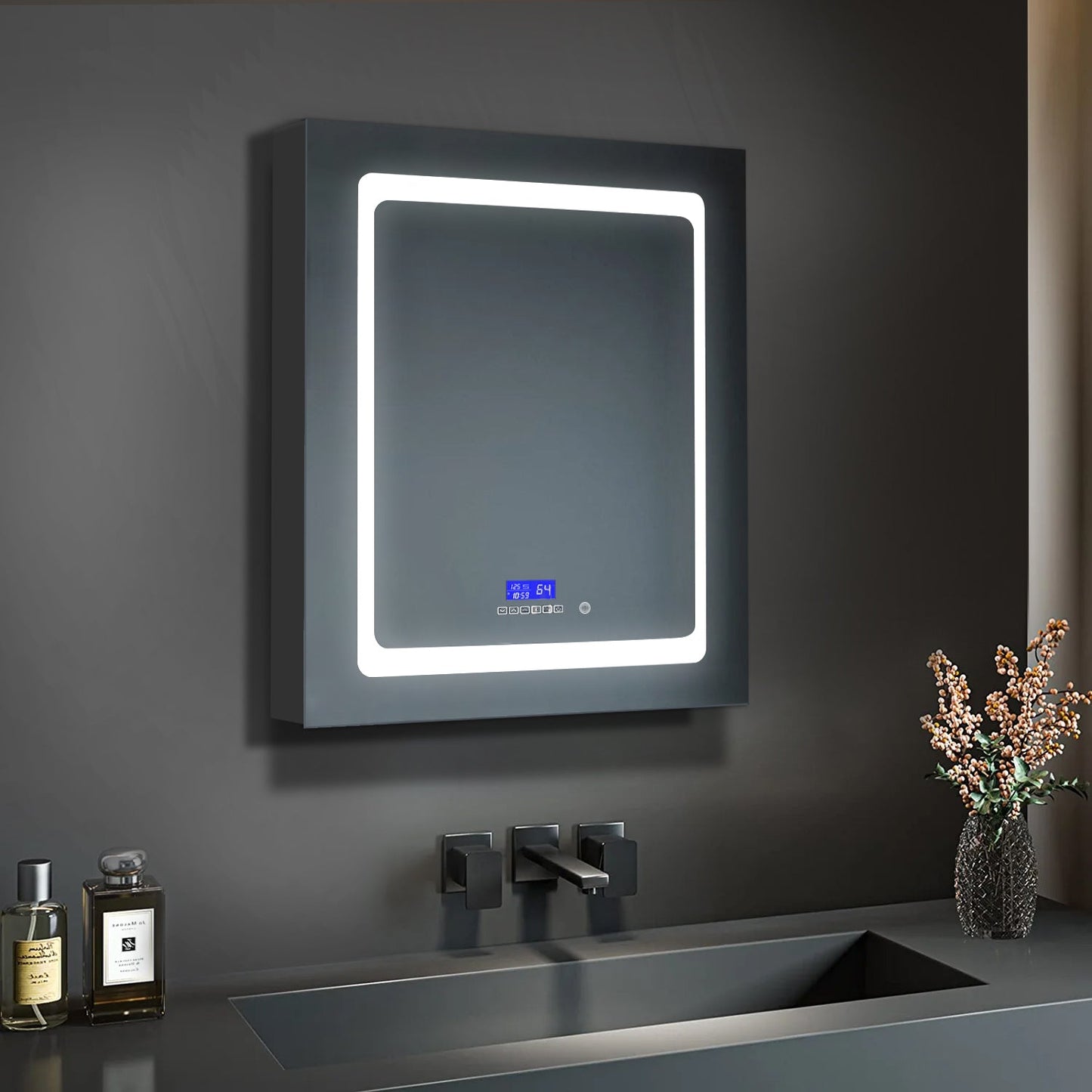 Bracciano 24 in. W x 36 in. H Surface-Mount LED Mirror Medicine Cabinet with Defogger