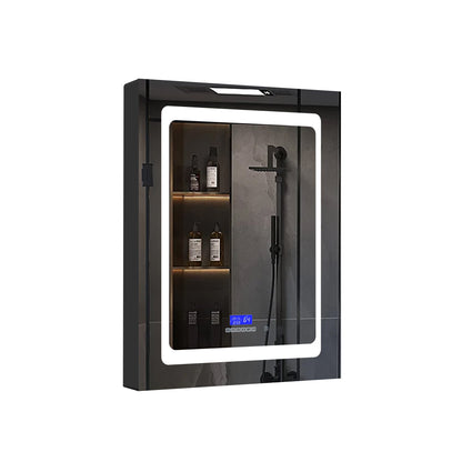 Bracciano 24 in. W x 36 in. H Surface-Mount LED Mirror Medicine Cabinet with Defogger