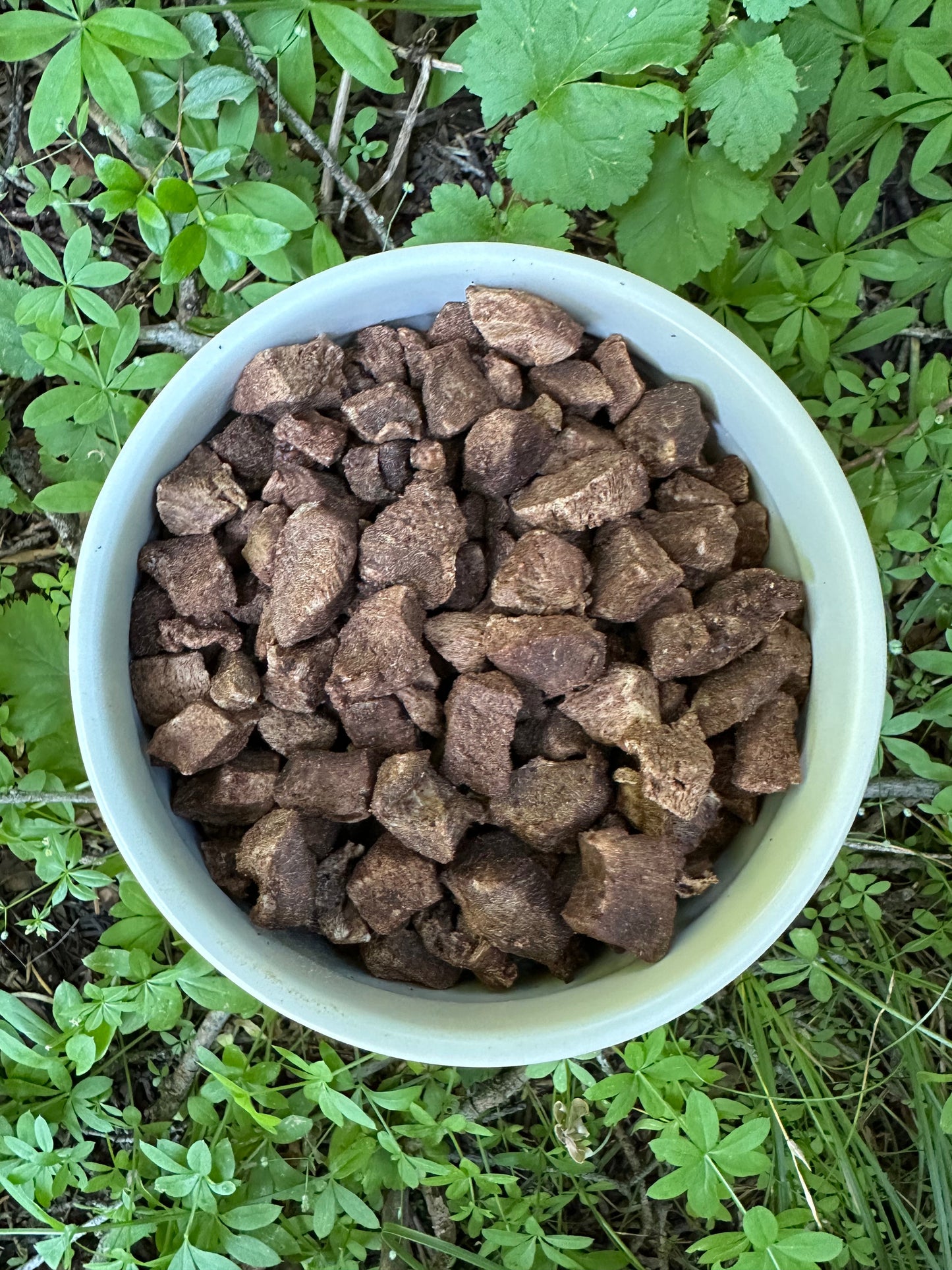 Beef Liver Dog Treats