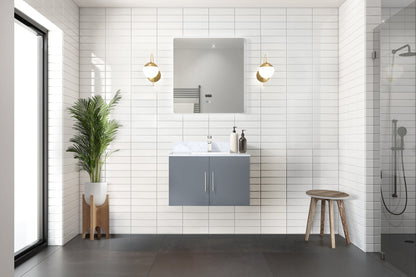 Geneva 30 in. W x 22 in. D Dark Grey Bath Vanity