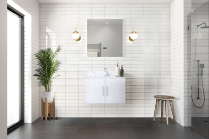 Geneva 30 in. W x 22 in. D Glossy White Bath Vanity