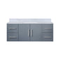 Geneva 48 in. W x 22 in. D Dark Grey Bath Vanity