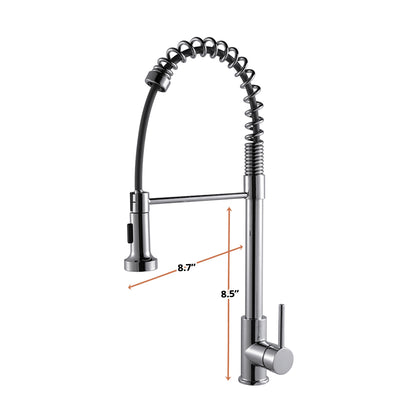 Lanuvio Brass Single-Handle Pull-Down Spray Kitchen Faucet