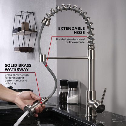 Lanuvio Brass Single-Handle Pull-Down Spray Kitchen Faucet