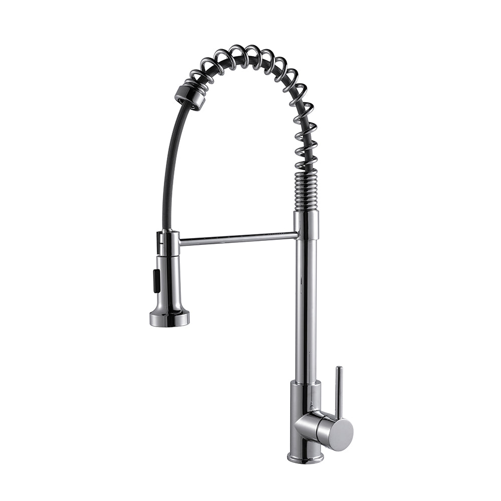Lanuvio Brass Single-Handle Pull-Down Spray Kitchen Faucet