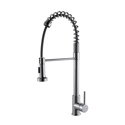 Lanuvio Brass Single-Handle Pull-Down Spray Kitchen Faucet