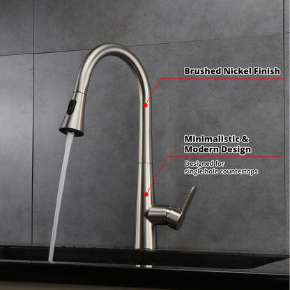 Furio Brass Single-Handle Pull-Down Spray Kitchen Faucet