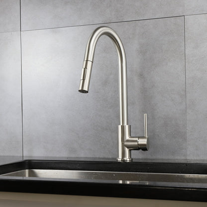 Olivi Brass Single-Handle Pull-Down Spray Kitchen Faucet