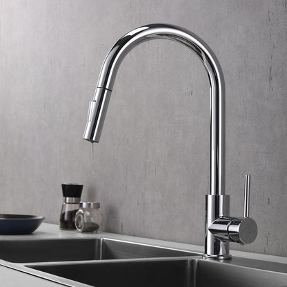 Olivi Brass Single-Handle Pull-Down Spray Kitchen Faucet
