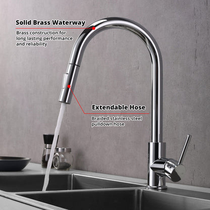 Olivi Brass Single-Handle Pull-Down Spray Kitchen Faucet