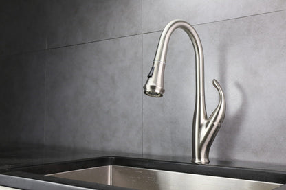 Garbatella Brass Single-Handle Pull-Down Spray Kitchen Faucet
