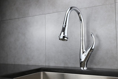 Garbatella Brass Single-Handle Pull-Down Spray Kitchen Faucet