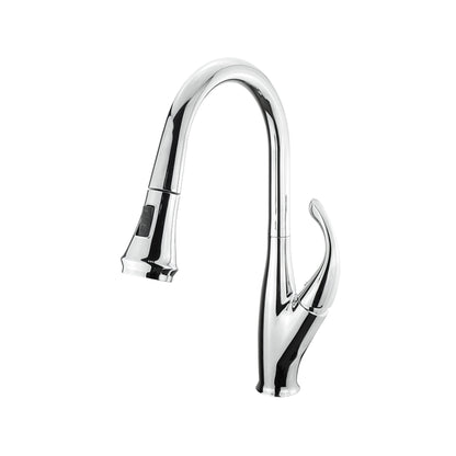 Garbatella Brass Single-Handle Pull-Down Spray Kitchen Faucet